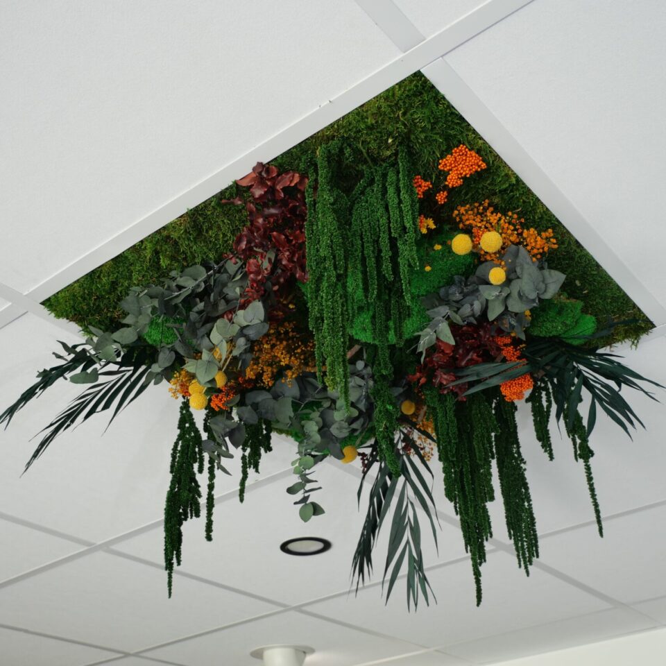 Dalle de plafond végétale acoustique Orange