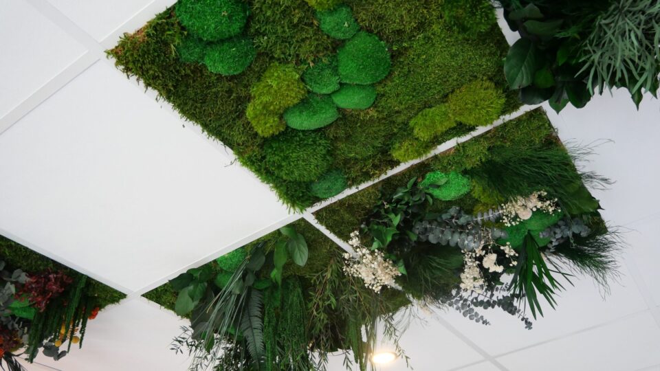Optimisez l&rsquo;acoustique de vos espaces avec les dalles de plafond végétales