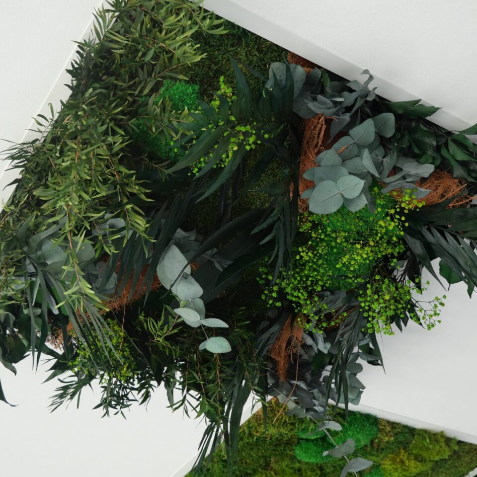 Dalle de plafond végétale acoustique Tropical