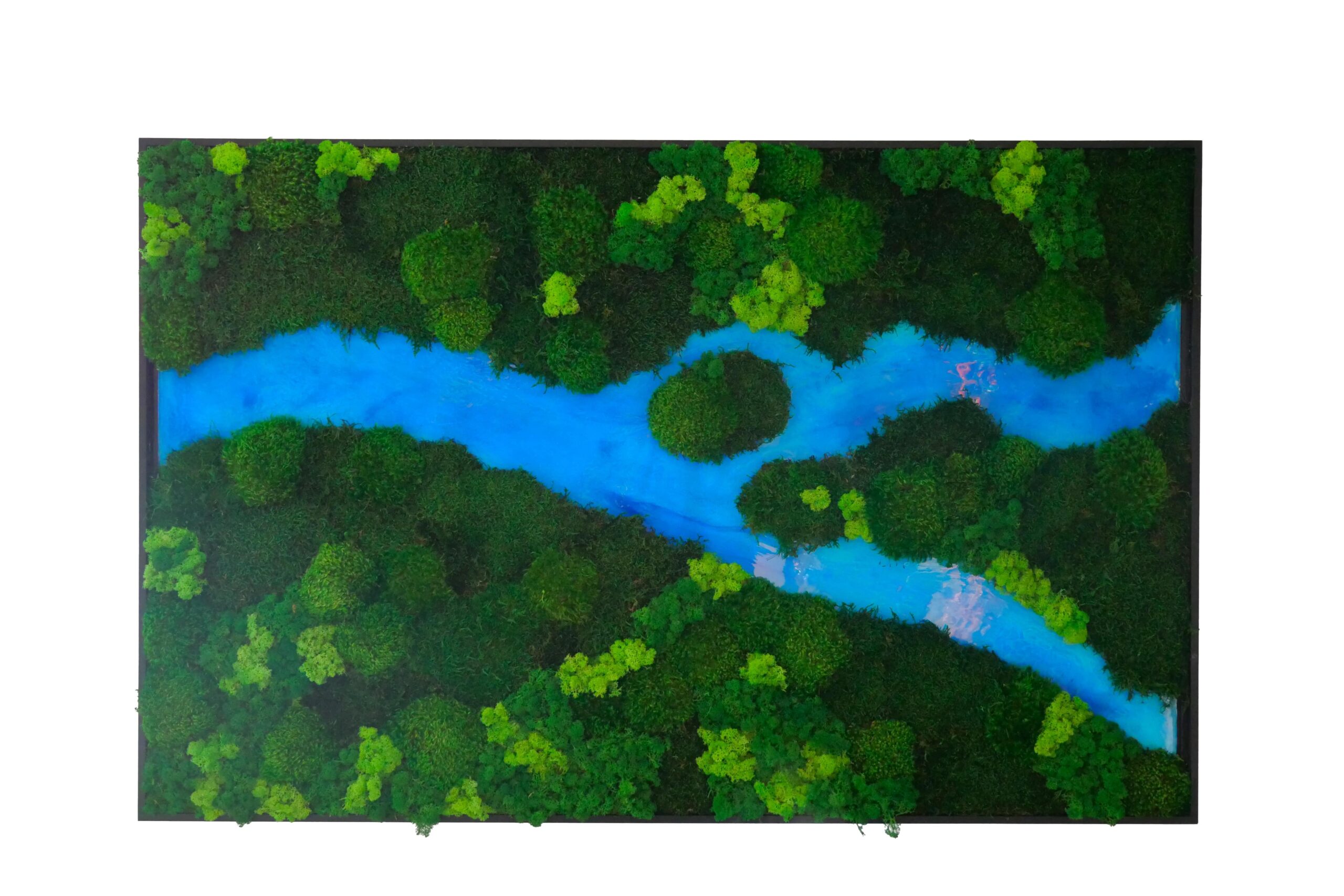140x90 Tableau végétal Forest