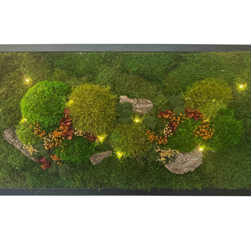78×38 Tableau végétal stabilisé Lumiu
