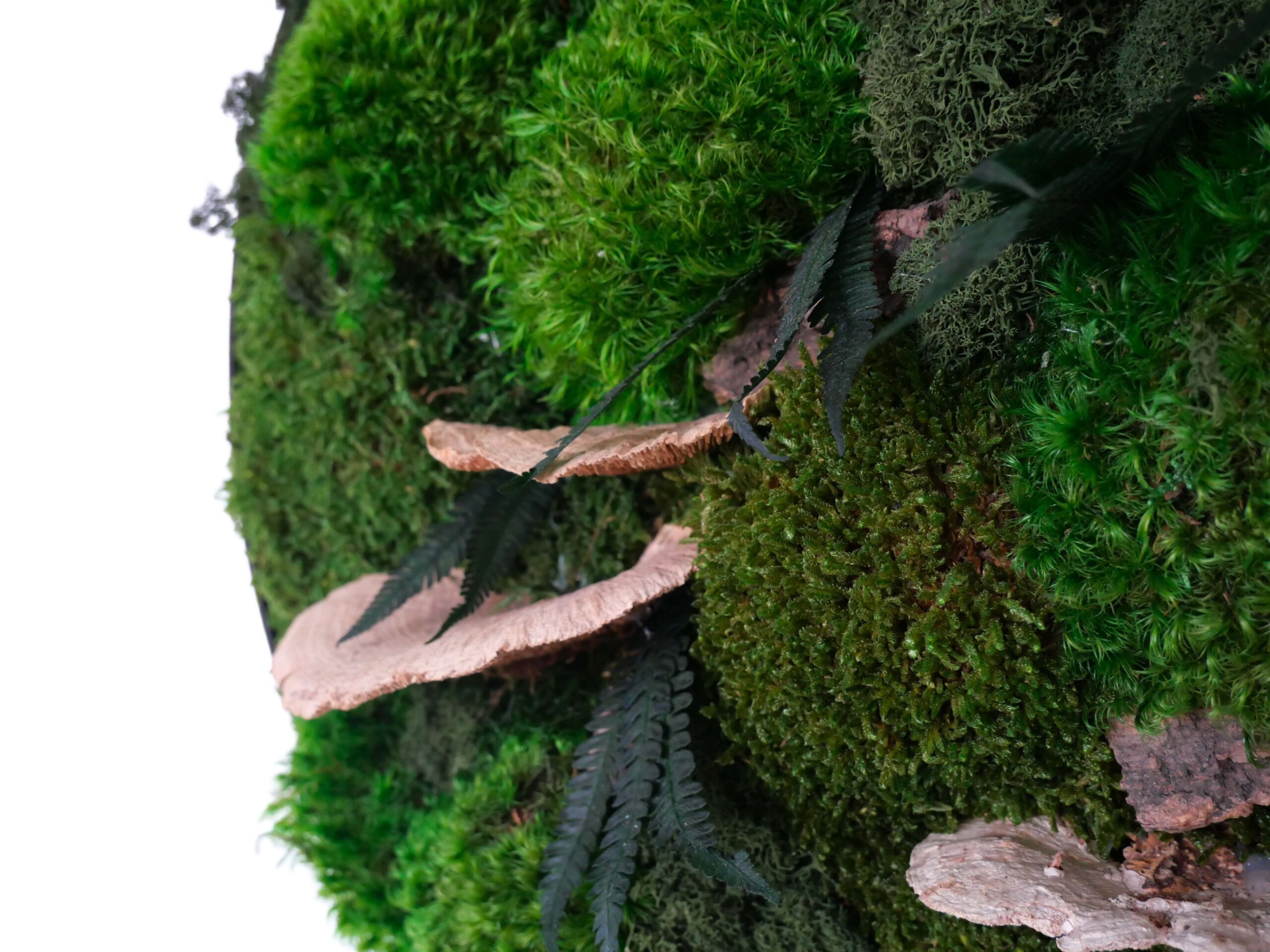 Tableau végétal avec végétaux verts