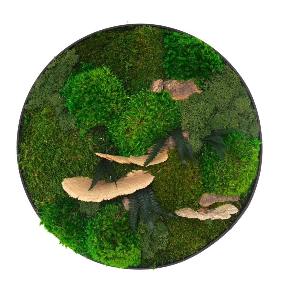 40×40 Tableau Végétal Botanic