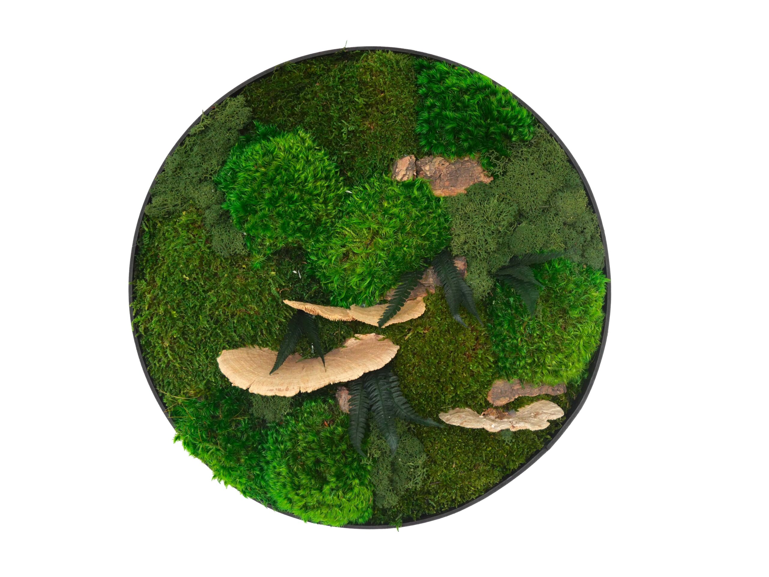Tableau végétal avec végétaux verts