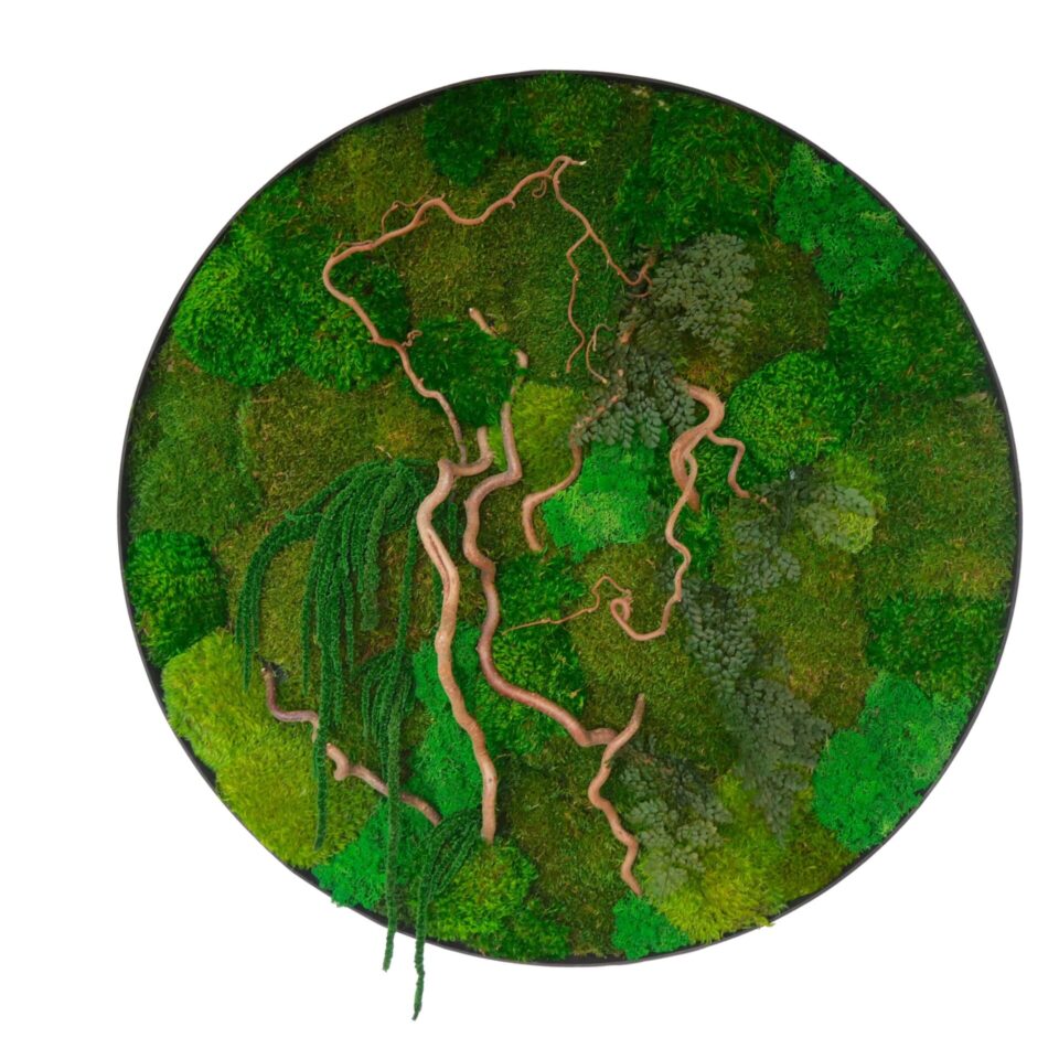80×80 Tableau Végétal Provence
