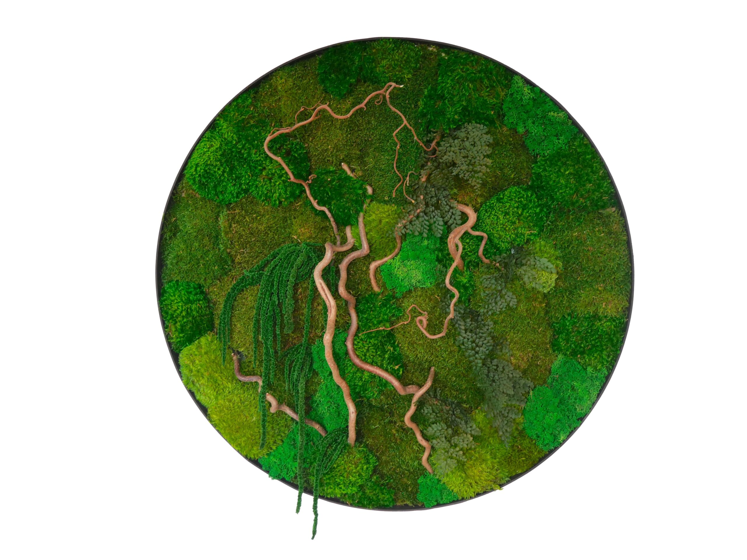 Tableau végétal avec végétaux verts