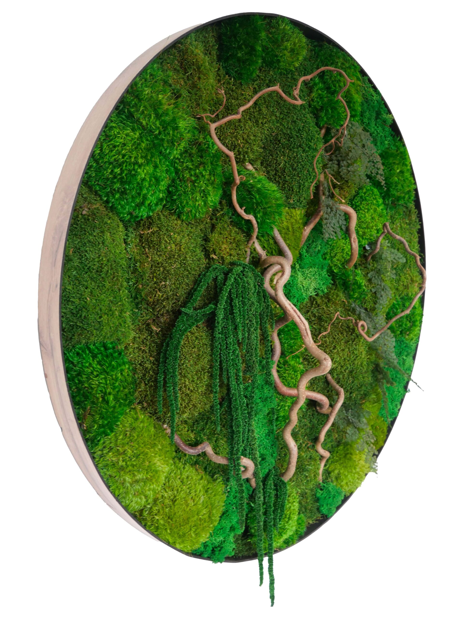 Tableau végétal avec végétaux verts