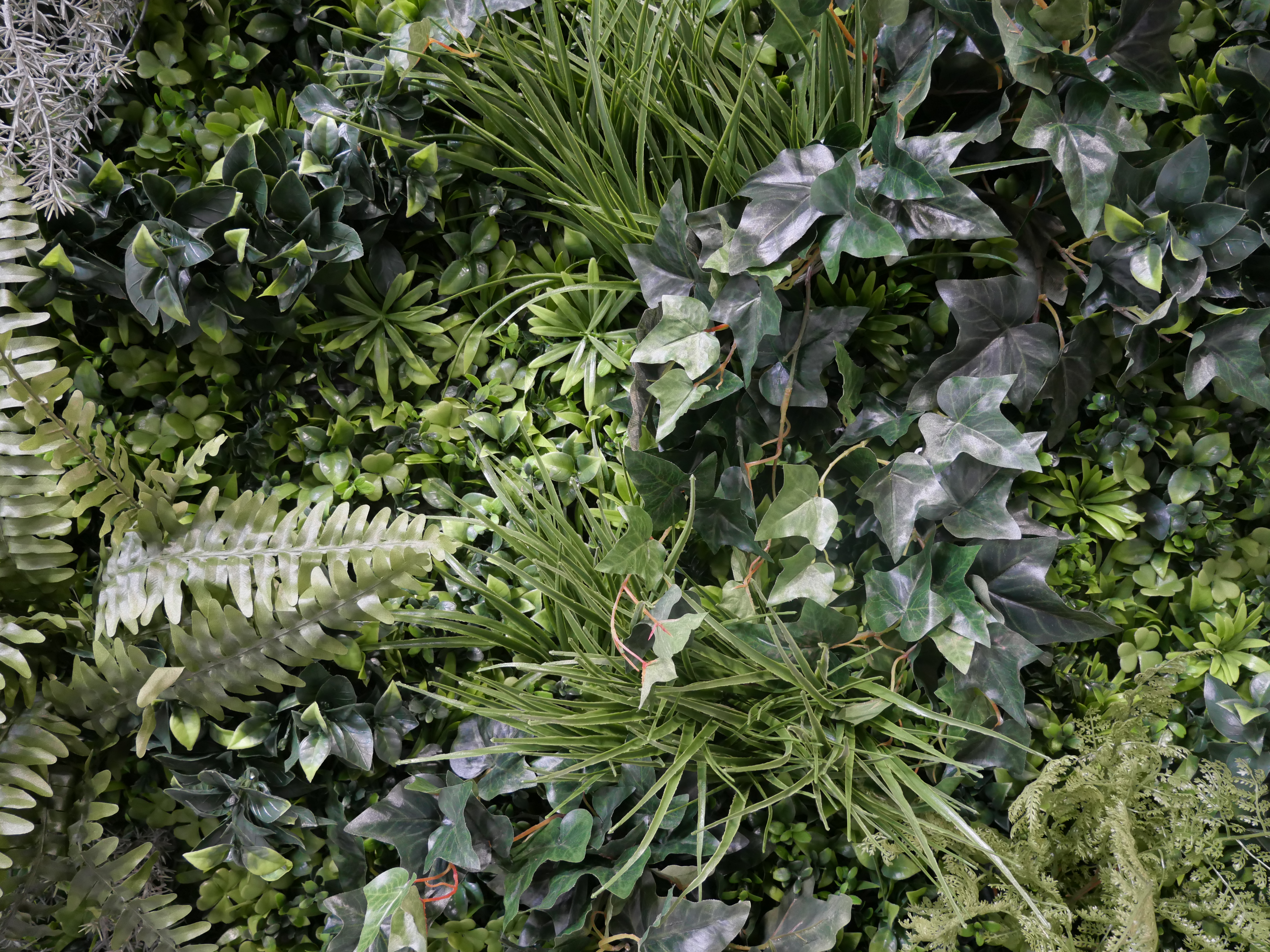 Décoration végétale