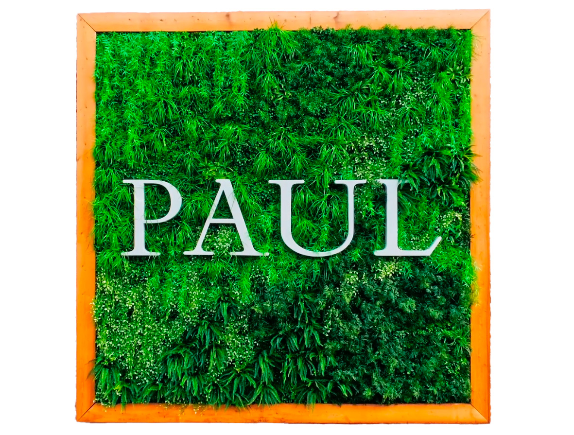 Mur végétal artificiel avec logo Paul