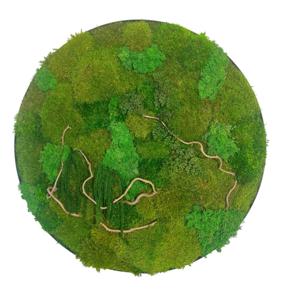 80×80 Tableau végétal Big Green