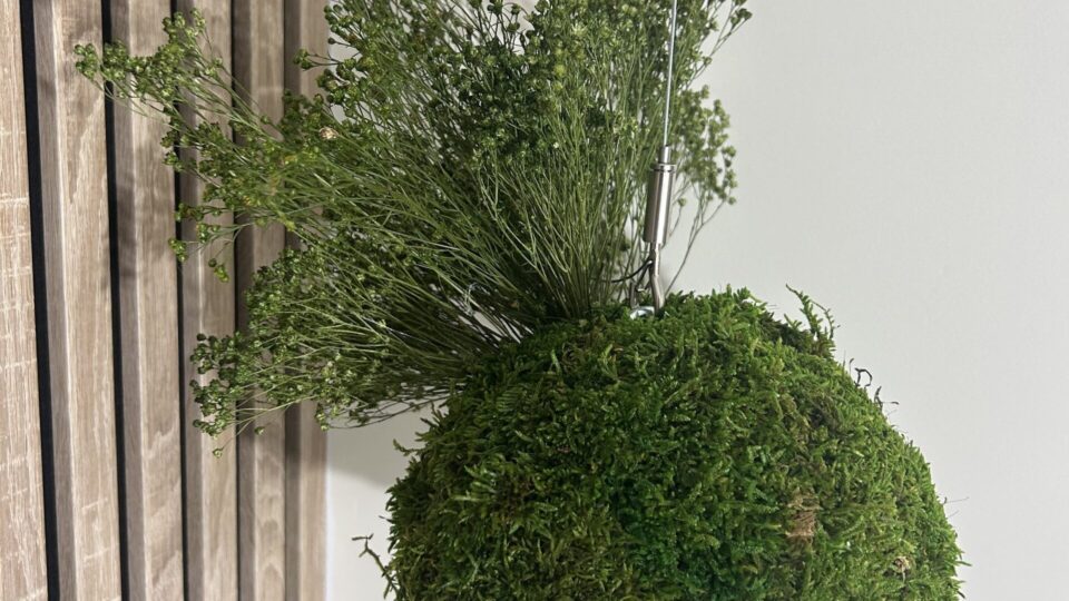 Le kokedama : une décoration végétale originale pour les petits espaces