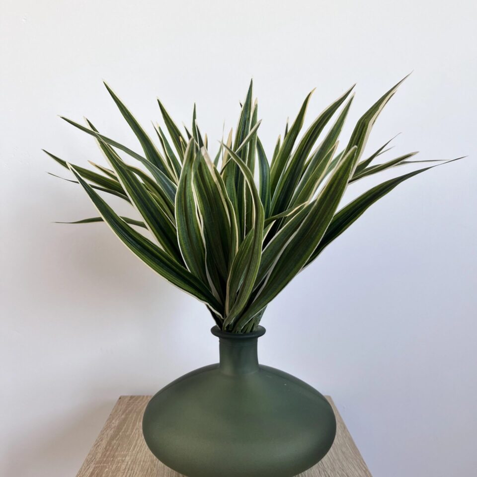 Chlorophytum buisson artificiel