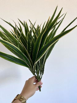 arti