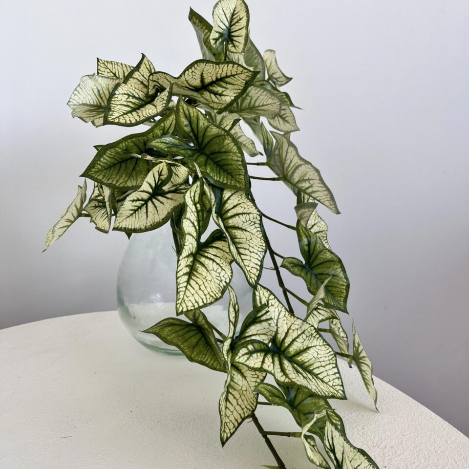 Syngonium chute artificiel