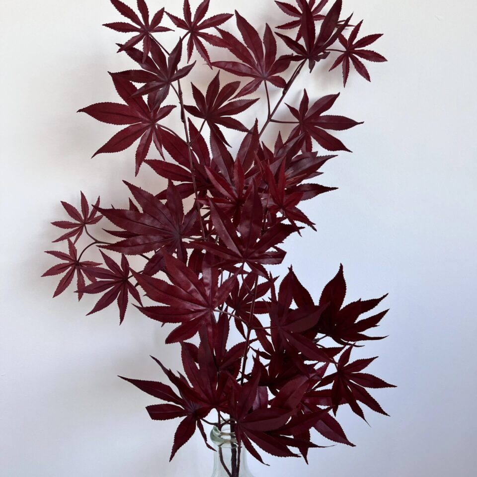 Aralia artificiel