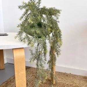 Asparagus artificiel