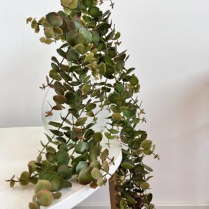 Artificiel chute eucalyptus
