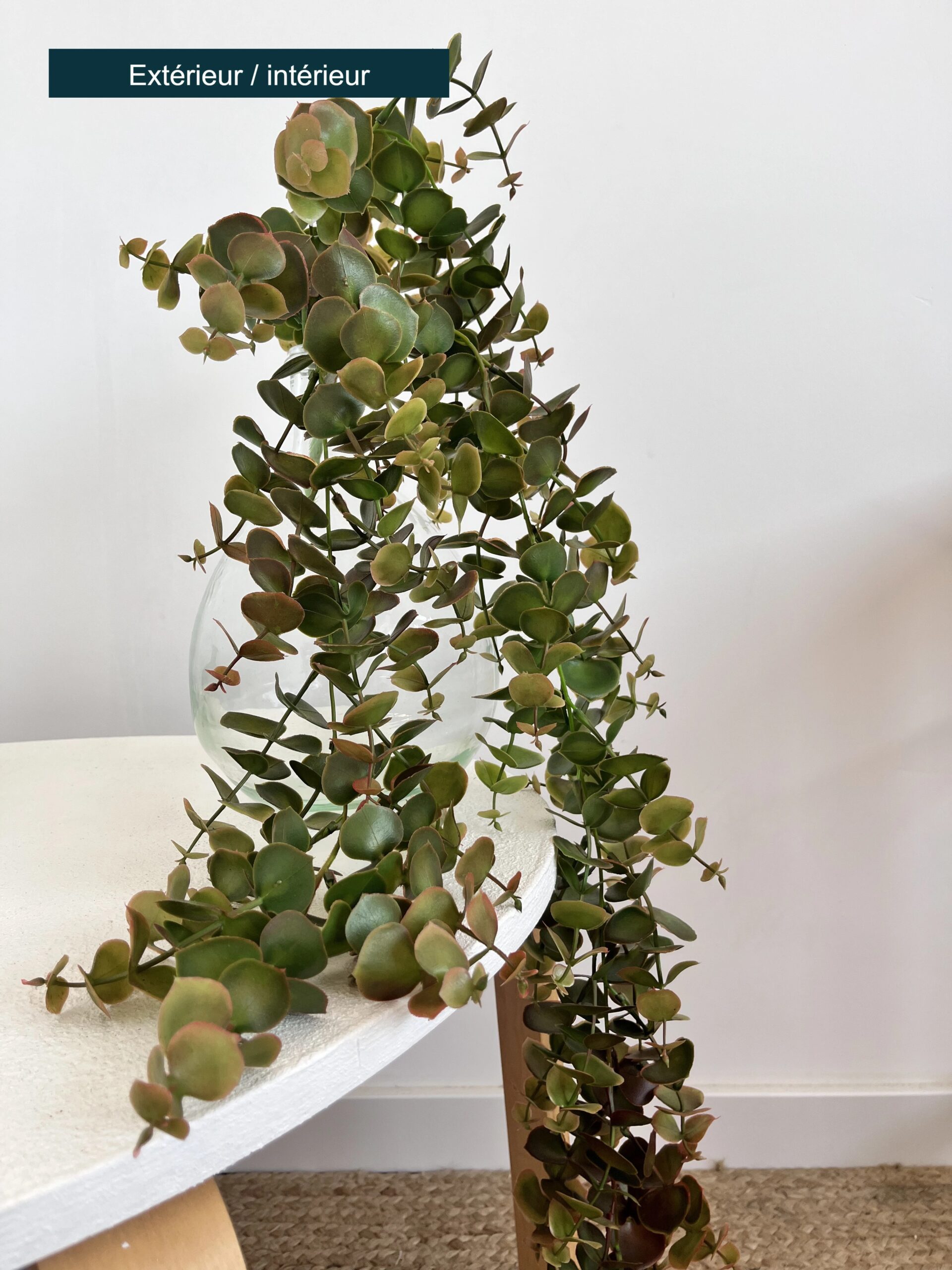 Artificiel chute eucalyptus