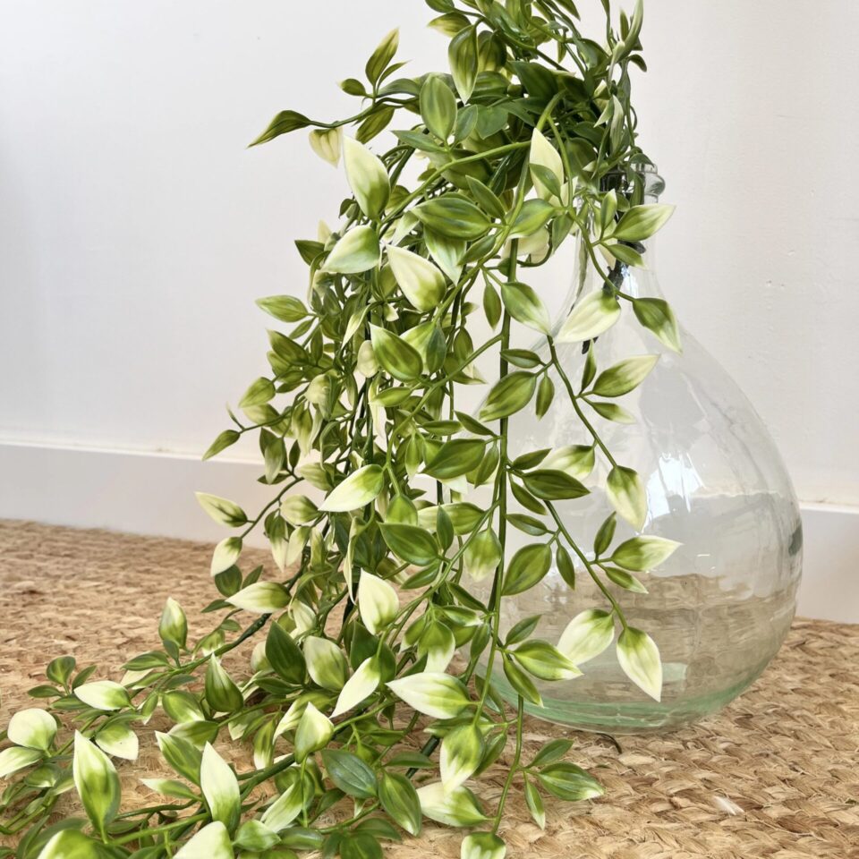 Tradescantia artificiel