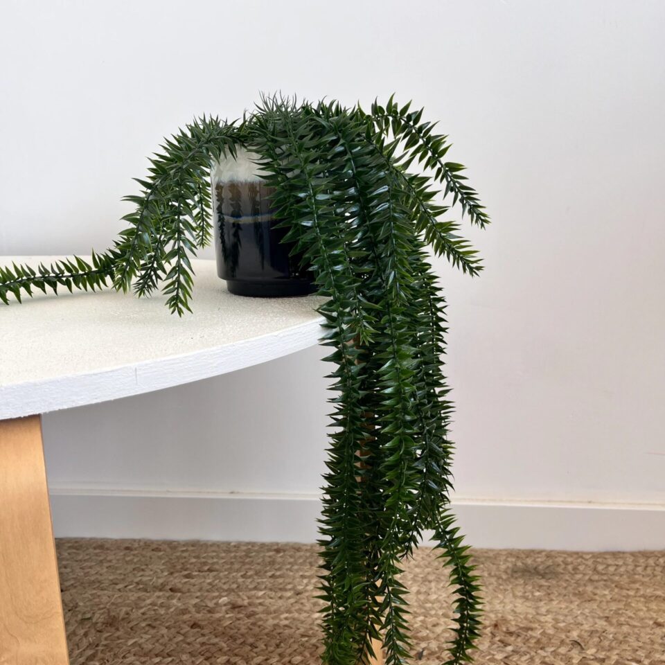 Lycopodium chute artificiel