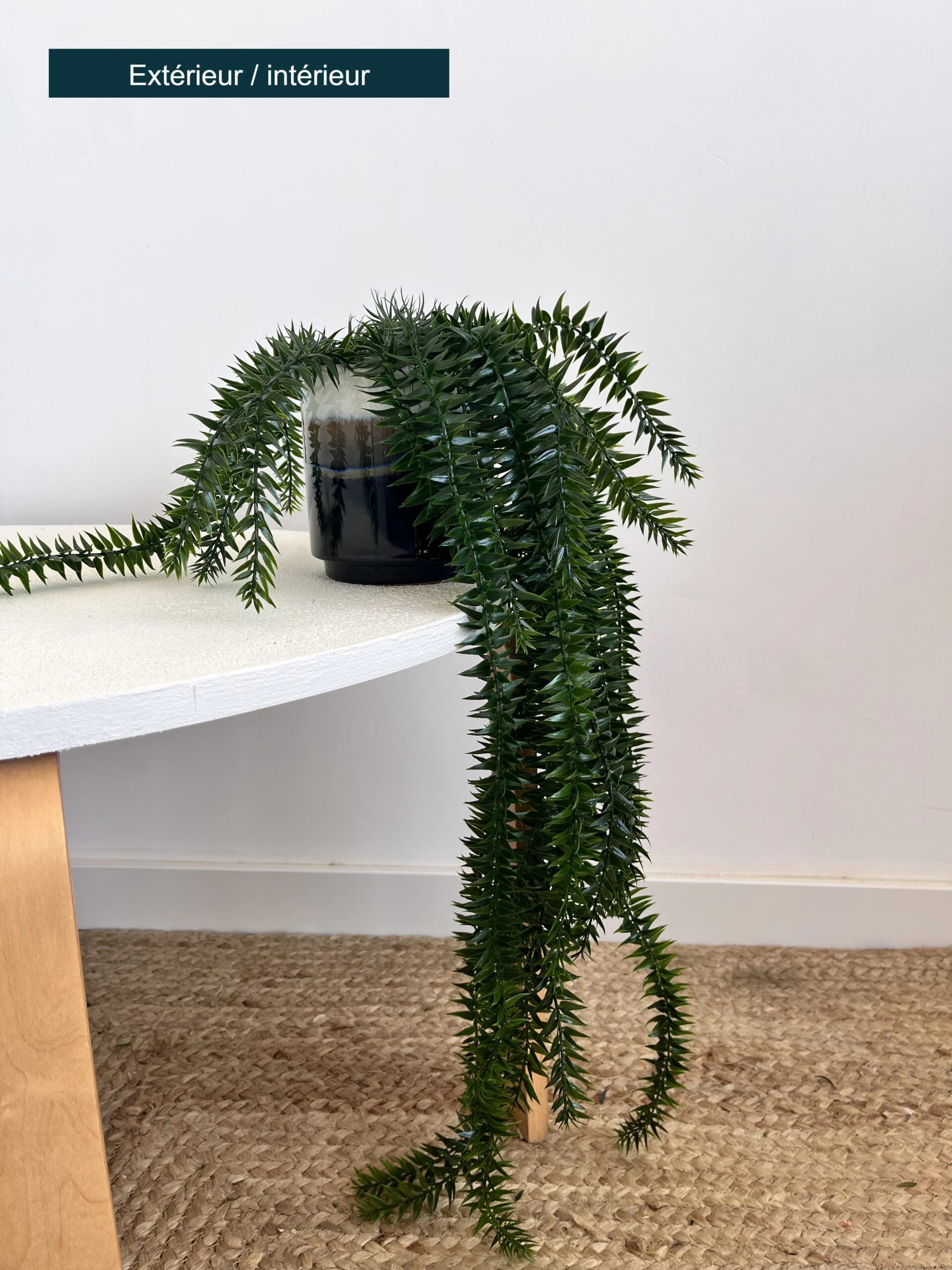 lycopodium artificiel