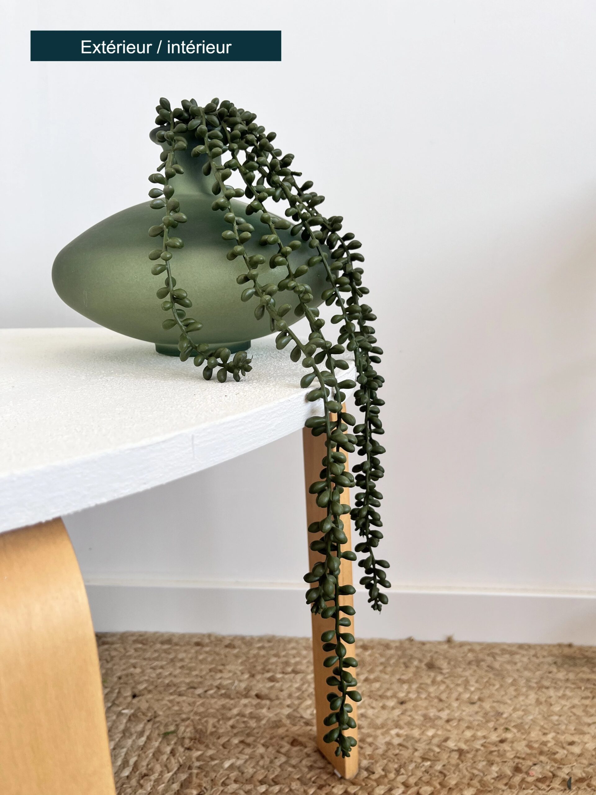 Crassula artificiel