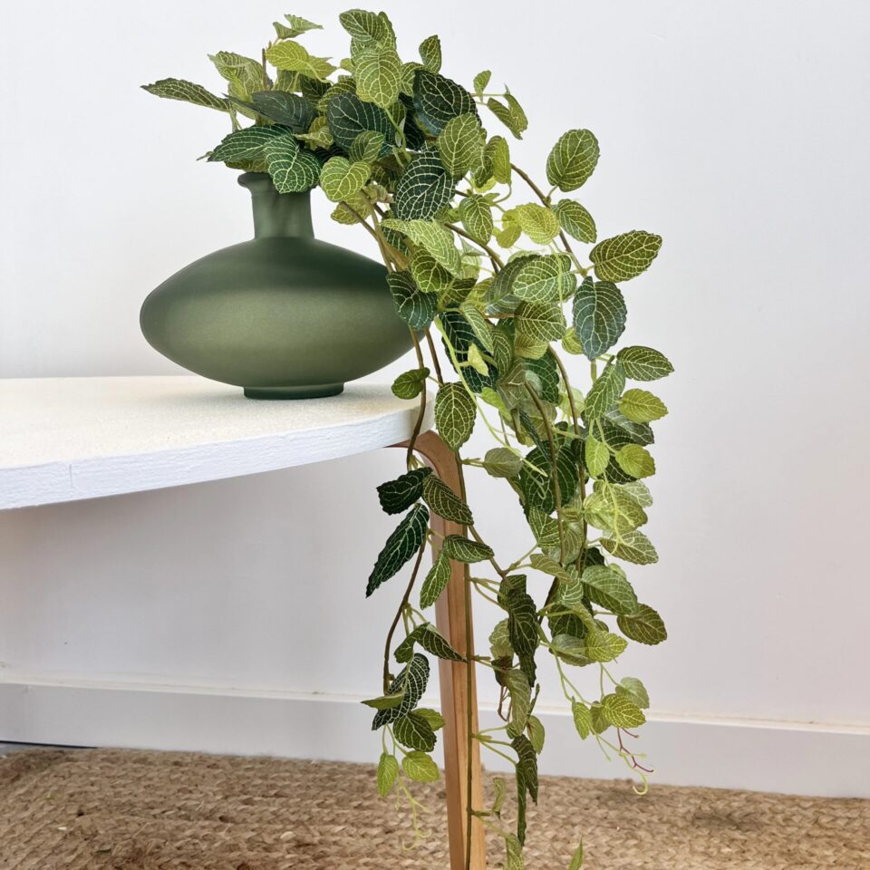 Fitonia mini artificiel