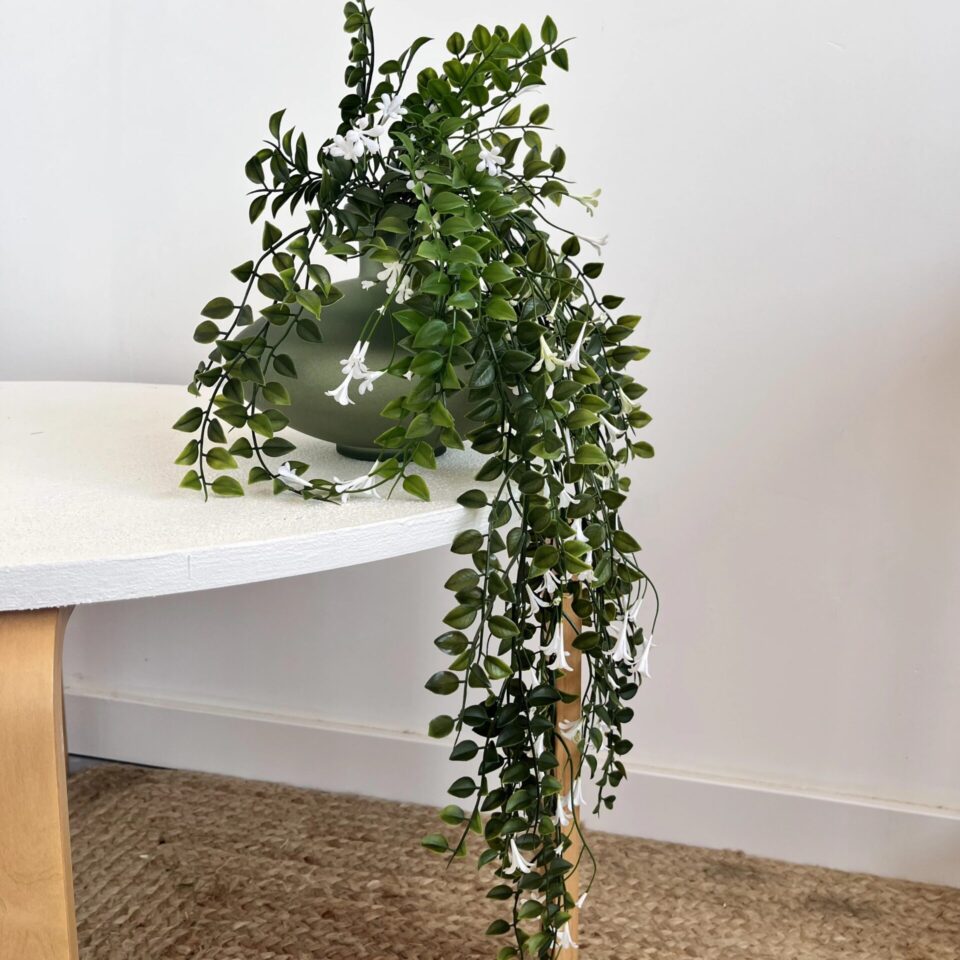Dischidia fleuri artificiel