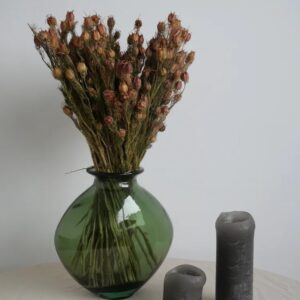 Nigelle séché décoration