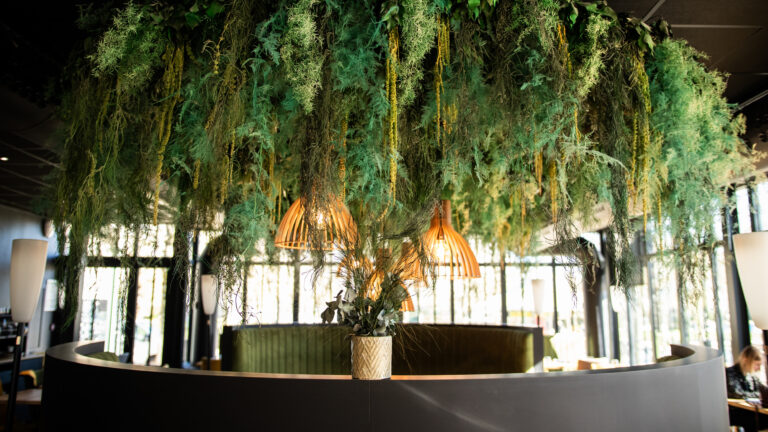Plafond végétal stabilisé restaurant – Le Mail Angers