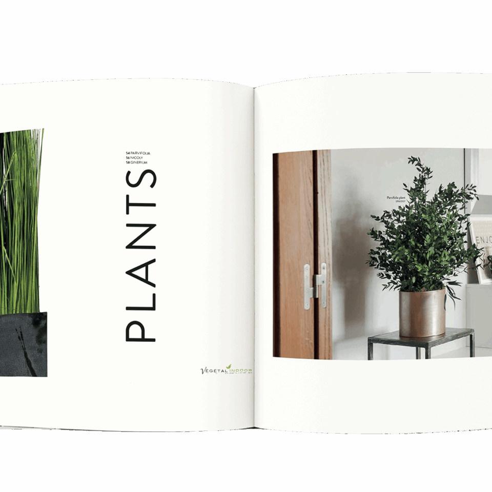 Catalogue - Arbres et décoration stabilisés