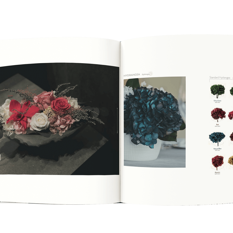 Catalogue - Fleurs et feuillages stabilisés